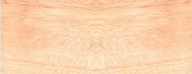 Canarium Holz Profil