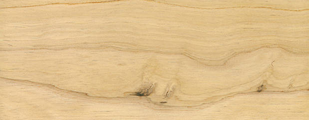 Rubberwood Holz-Profil - Holz vom Kautschukbaum 