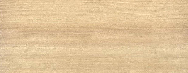 Hemlock Holz Profil